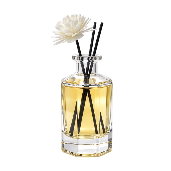 Polygonal Household Air Essential Oil Empty Glass Diffuser Bottle 100ml